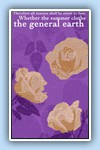 coleridge summer purple